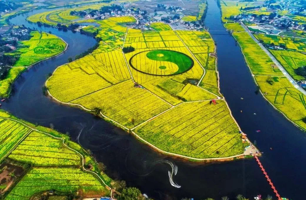 沒有油菜花的春天是不完整的抓緊去重慶這些地方看