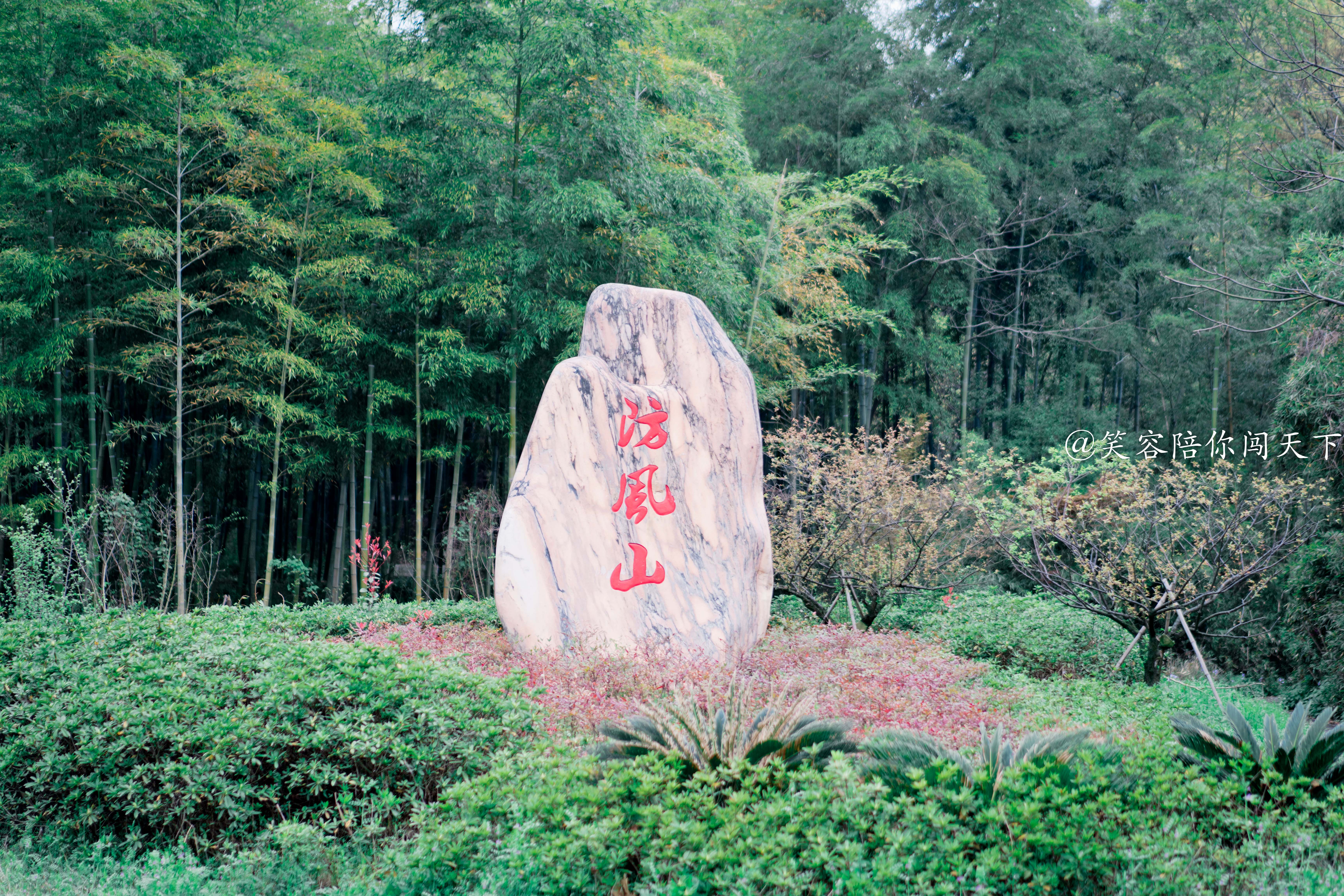 在参观完朱鹮之后,我们还去了附近防风山的