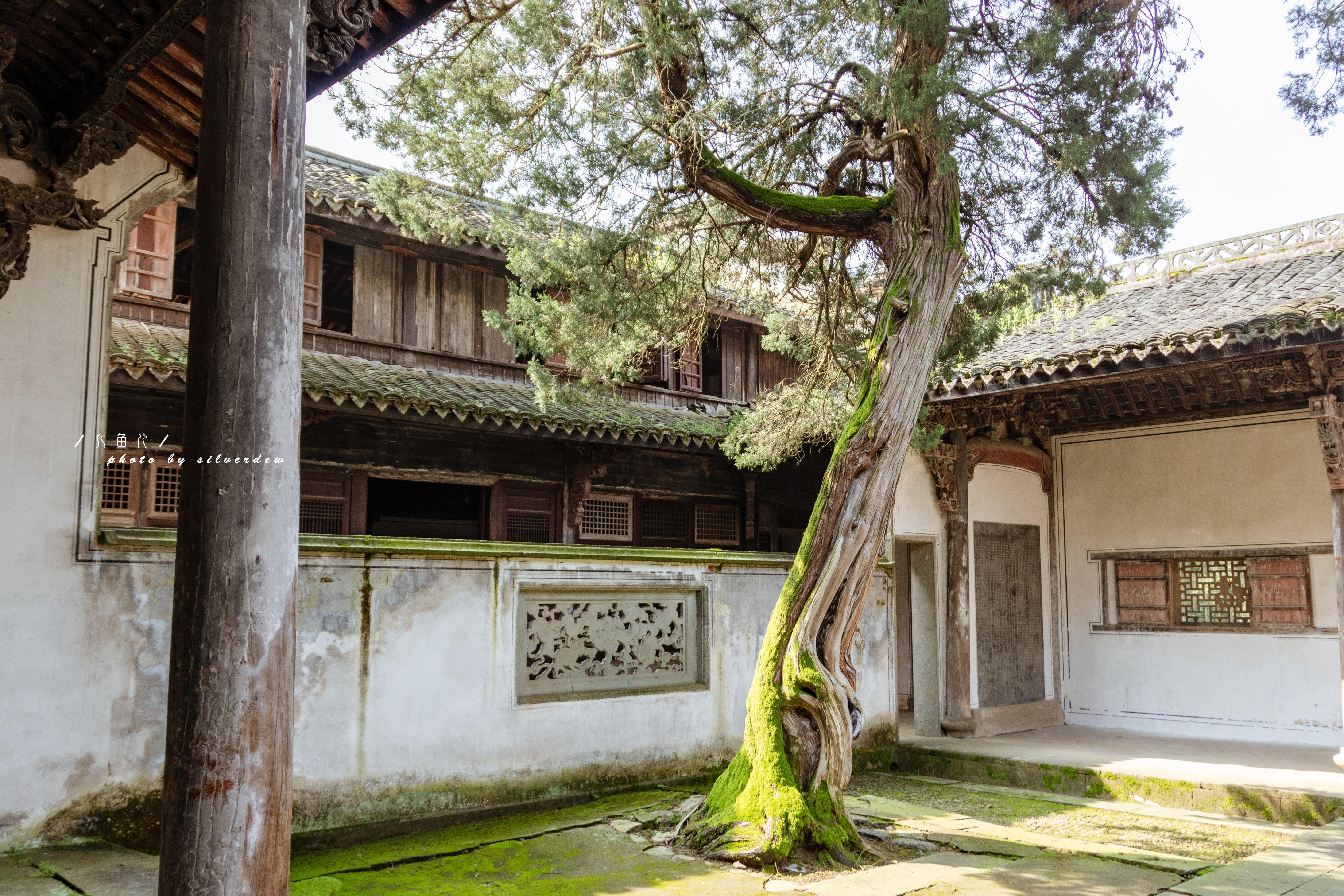 走进里面一股书香门第既视感,充满了文雅