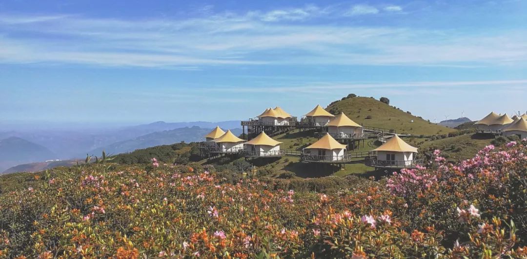 一个可夜观星澜,日享自然,酒店介绍:盘州市乌蒙大草原故艾蒙帐篷营地