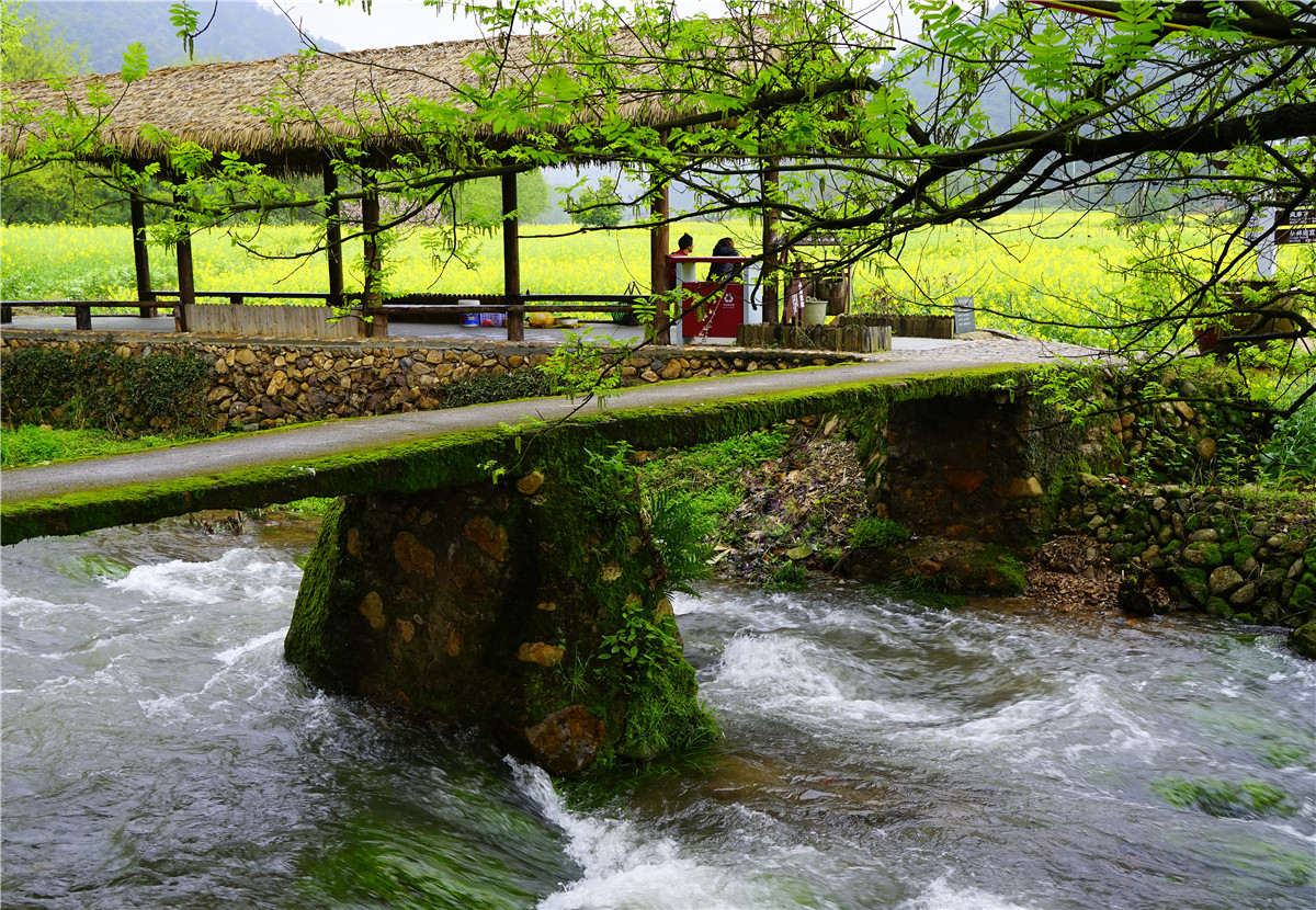 走进江西玉山县四股桥乡的山塘村,望着云雾