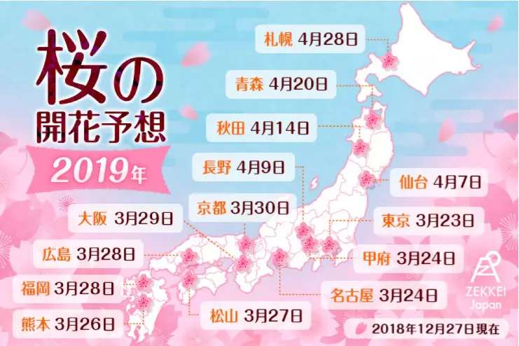 资深领队现身说法 日本赏樱超实用攻略来啦 日本 攻略动态 途牛