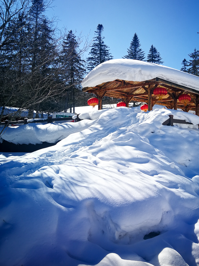 寒冷冬季 開啟北國冰雪自由之旅--哈爾濱 雪谷 鳳凰山 雪鄉