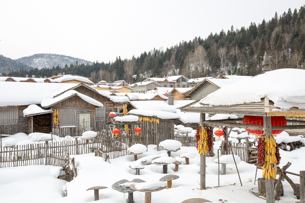 寒冷冬季 開啟北國冰雪自由之旅--哈爾濱 雪谷 鳳凰山 雪鄉