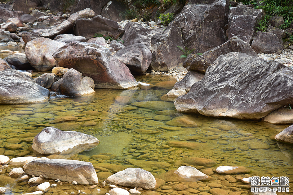河里的溪水清澈见底,一颗颗各种形状的石头如宝石般藏于水底