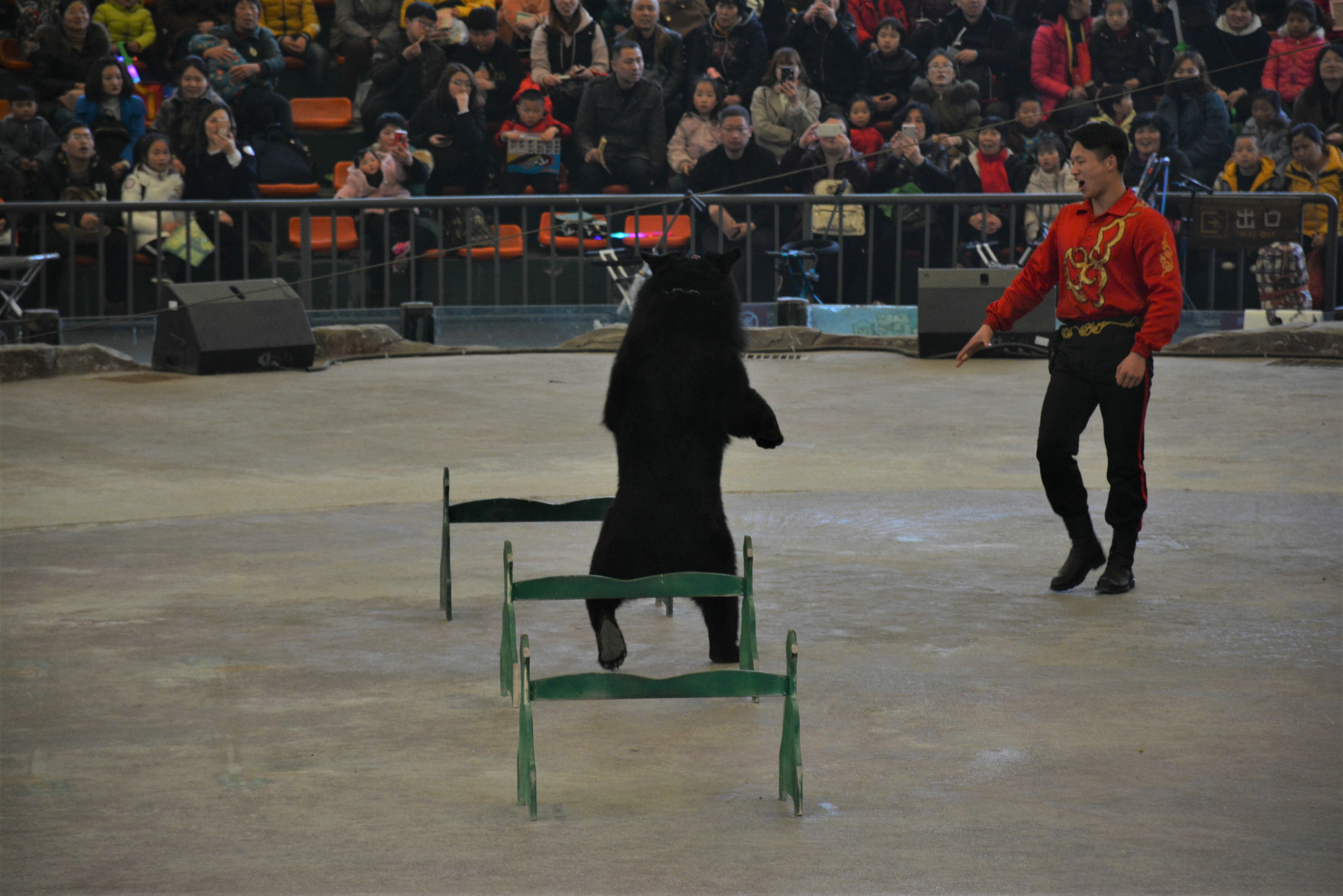 【首發】大象老虎長頸鹿,孩子們的歡樂世界(淹城動物園2日遊)