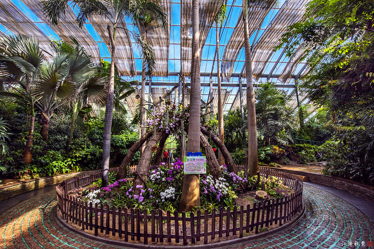 百花争艳,姹紫嫣红……武汉植物园的春天美爆了!