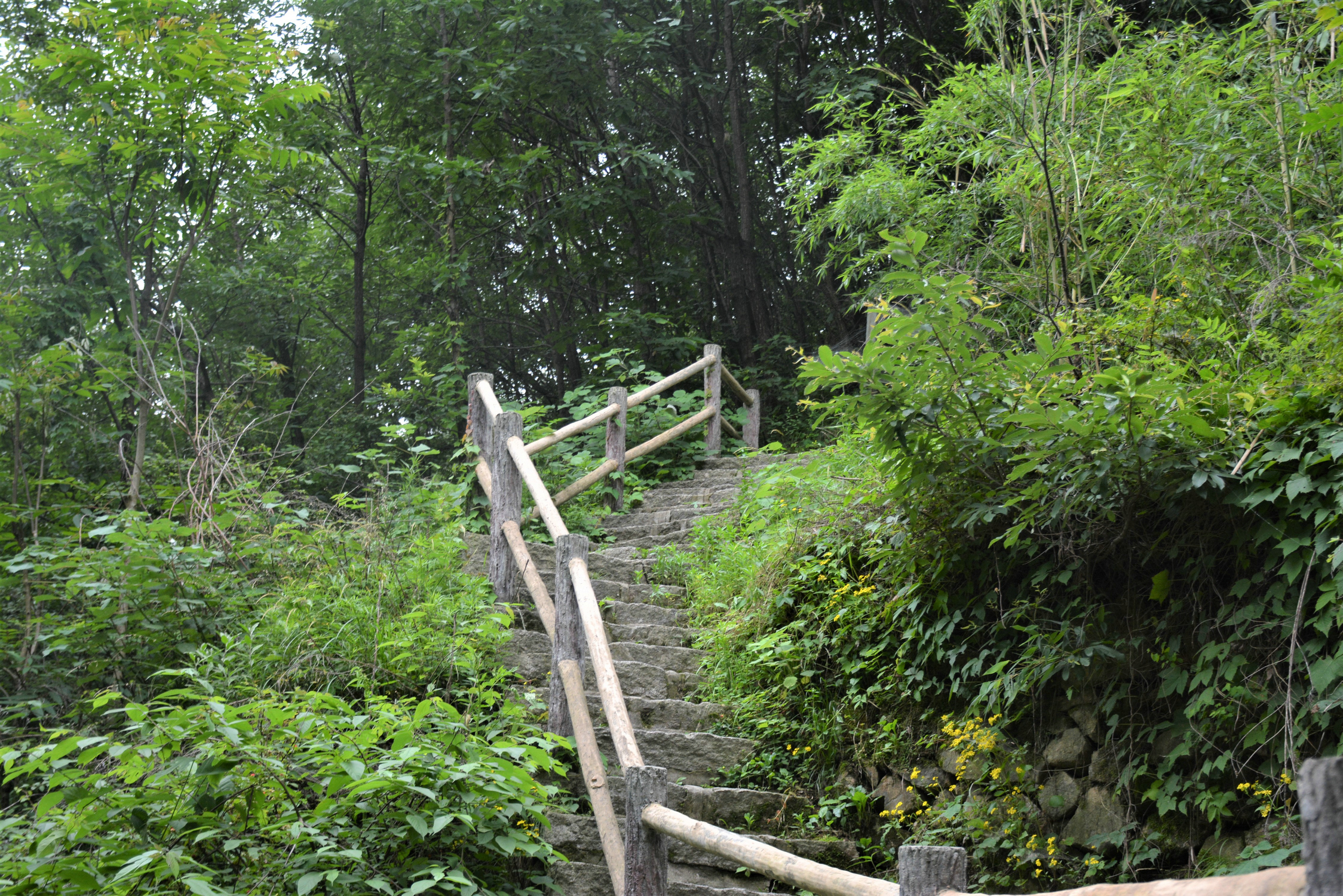 走的山路,高跟鞋走在這裡是很危險的南陽市五朵山景區回到吊橋繼續玩