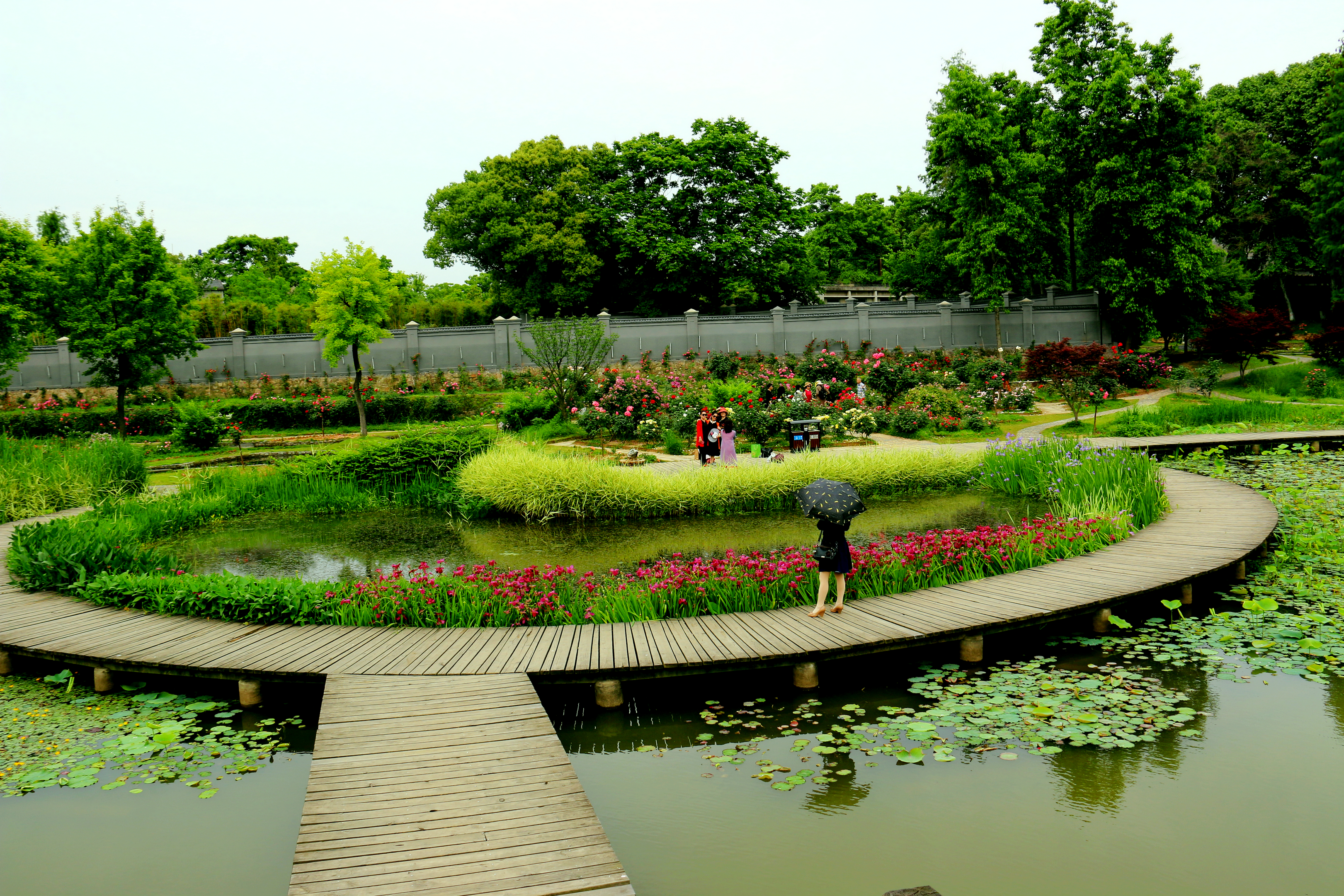 武汉植物园百花齐放