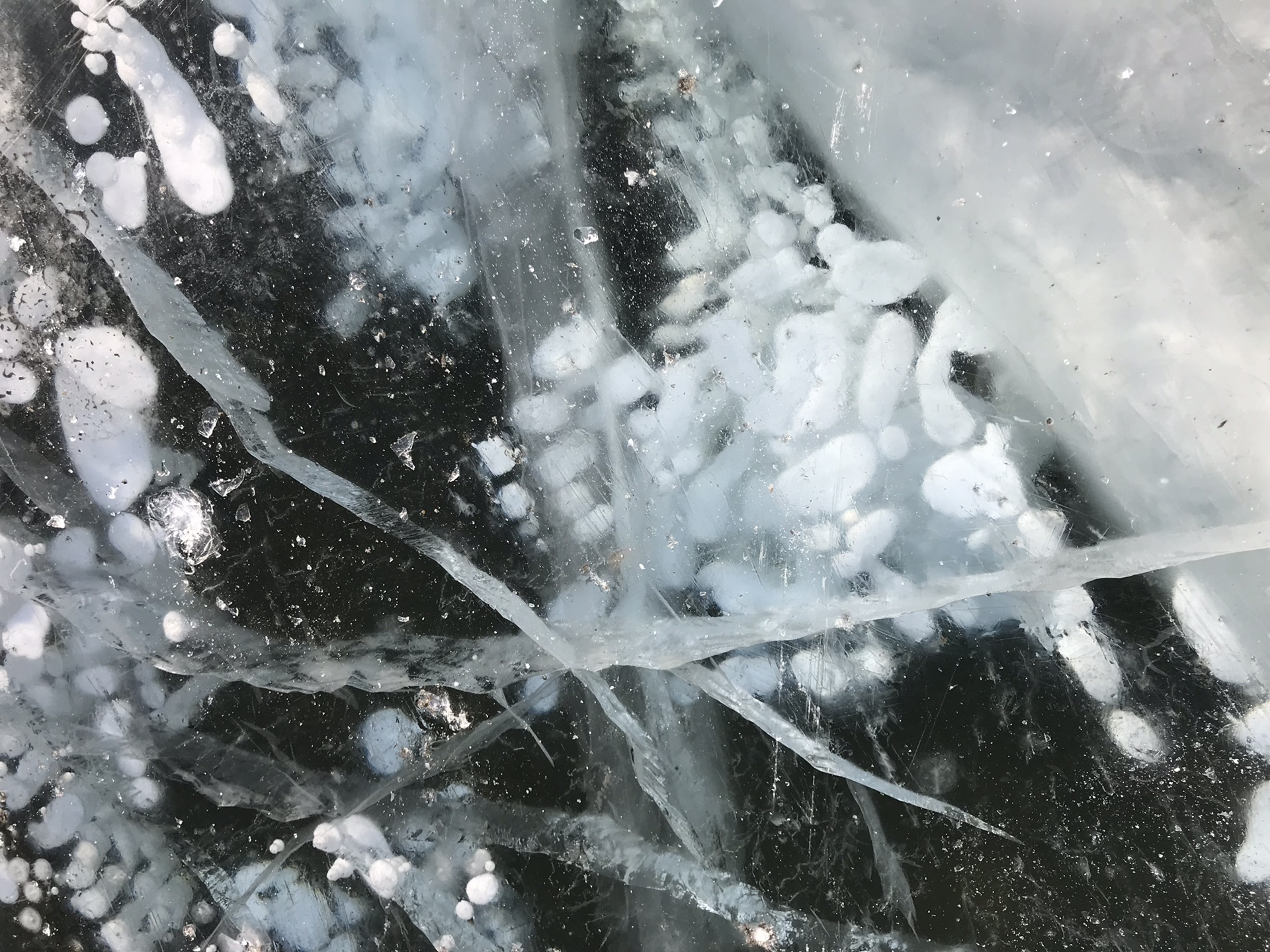 哈尔滨,冰与雪之歌(附一枚油城大庆的安利)