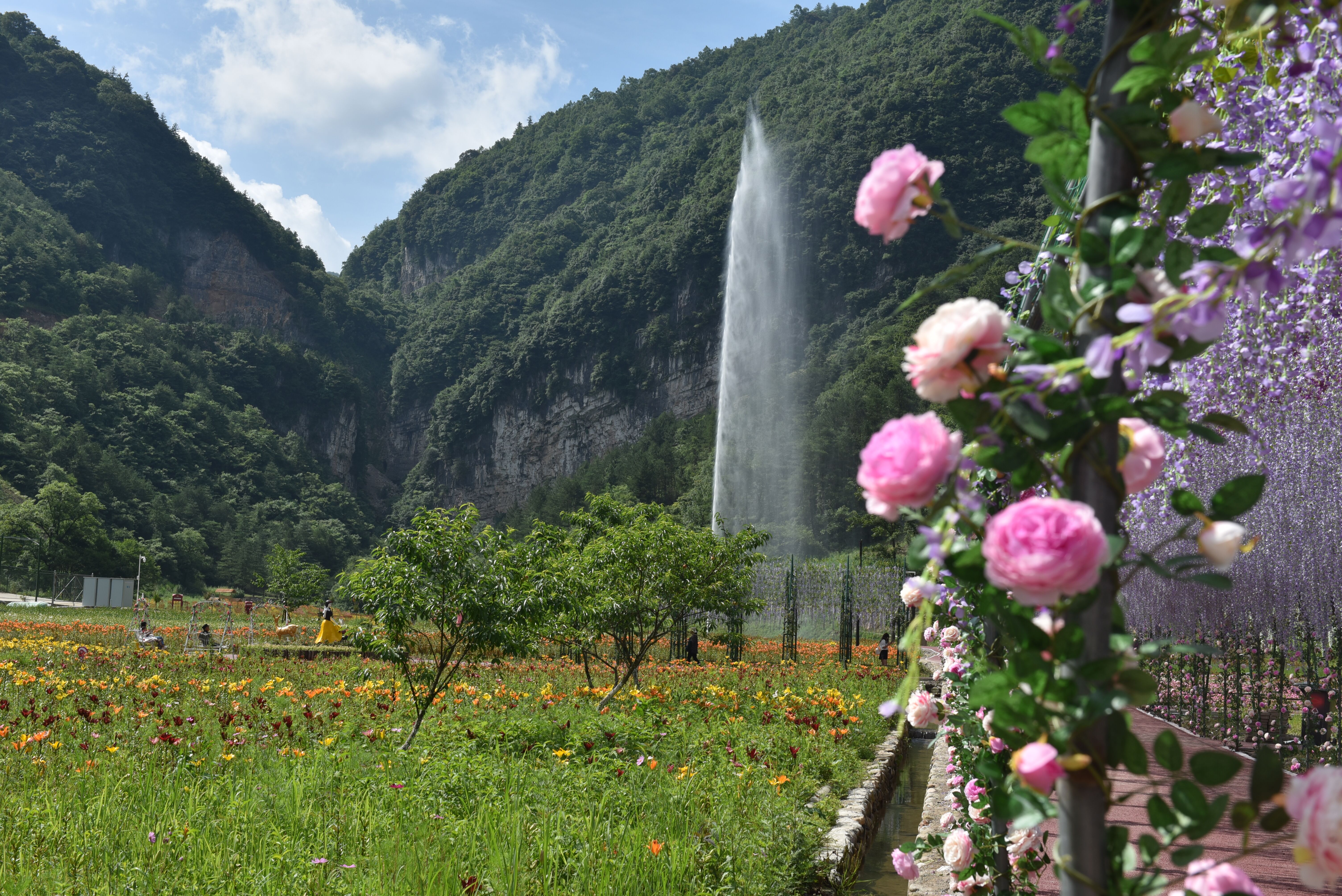 相约曾家山,浪漫花千谷,广元旅游必去之地