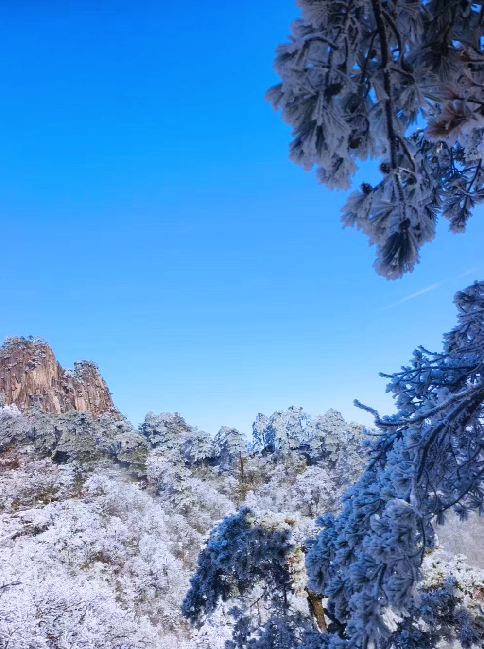 雪后黄山冰雪仙境图片