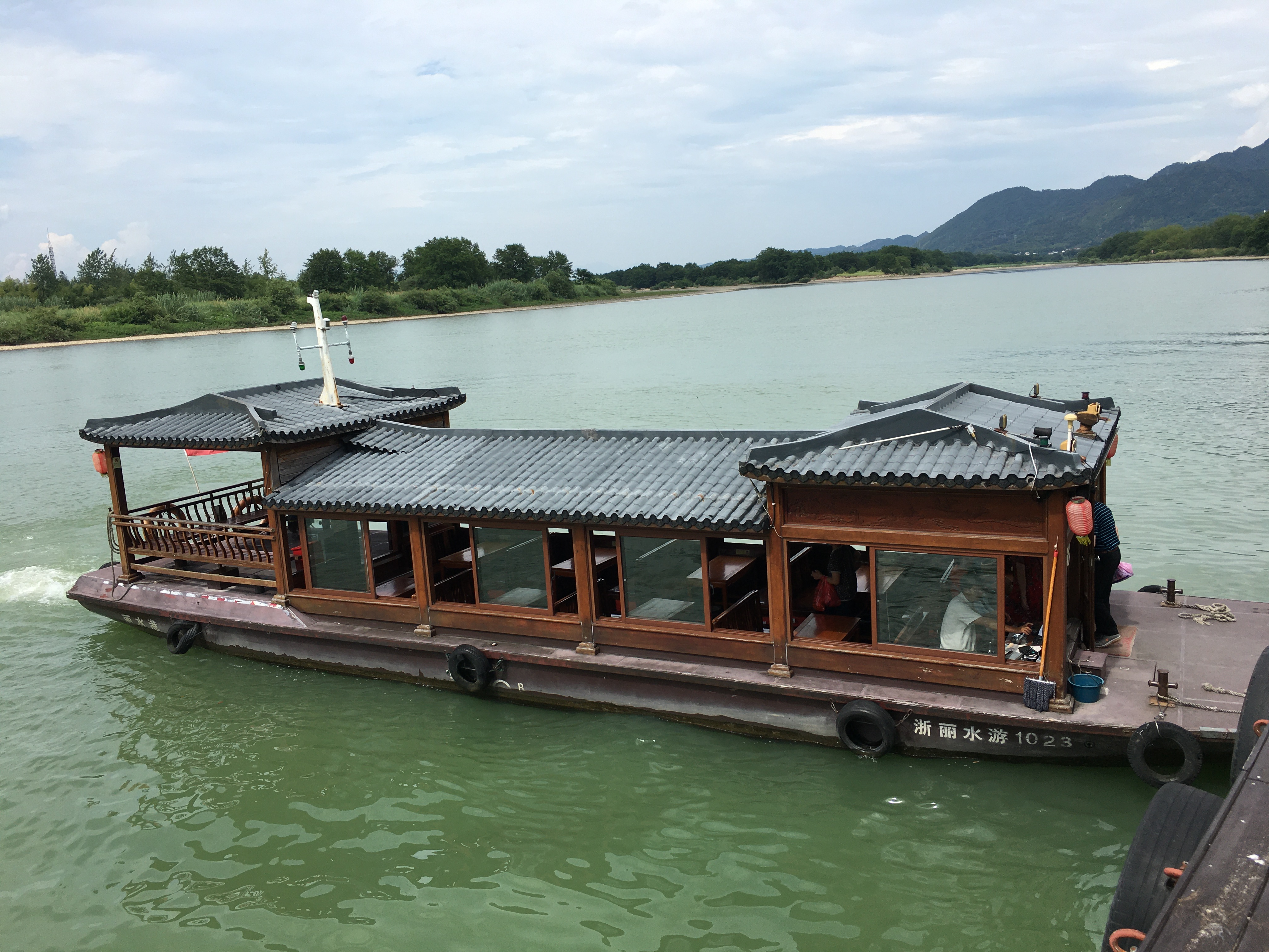 去保定码头.游船香樟古树,庞大的树冠遮天蔽日,站在大树下,非常凉爽!