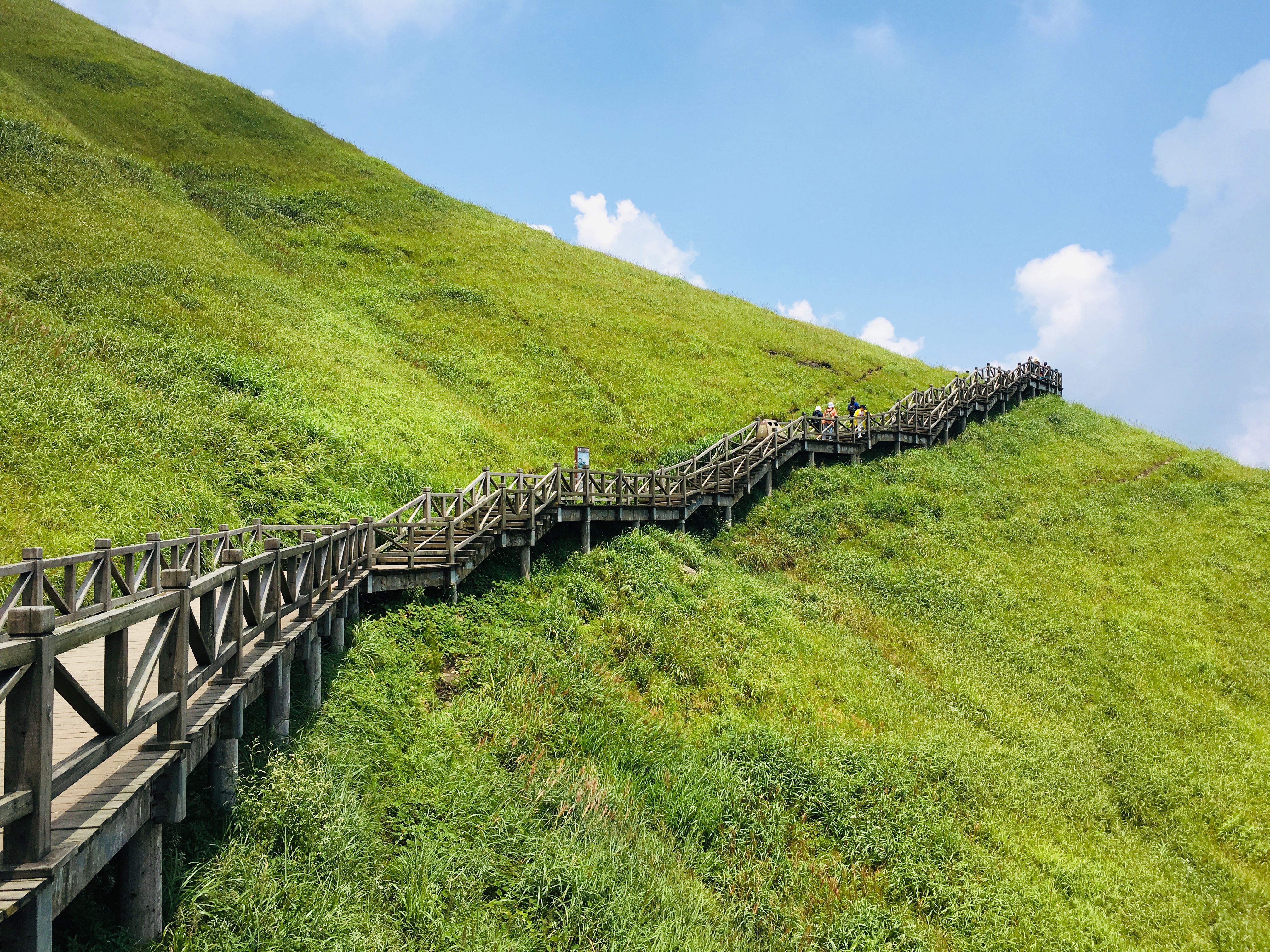 去宜春泡温泉,观明月千古情,登明月山,漫步高山草甸的休闲之旅