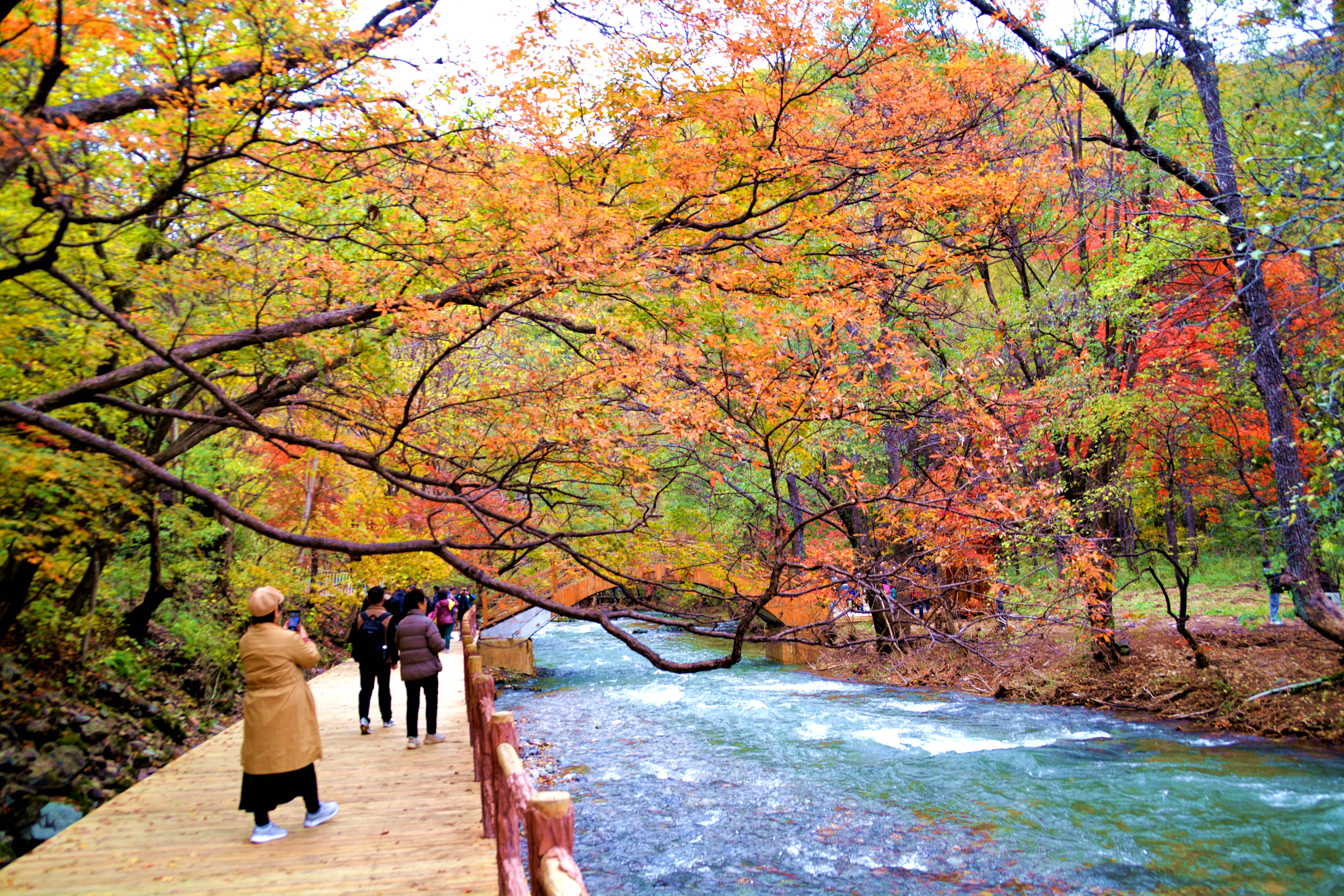 今年追秋在遼東--關門山._本溪遊記_途牛