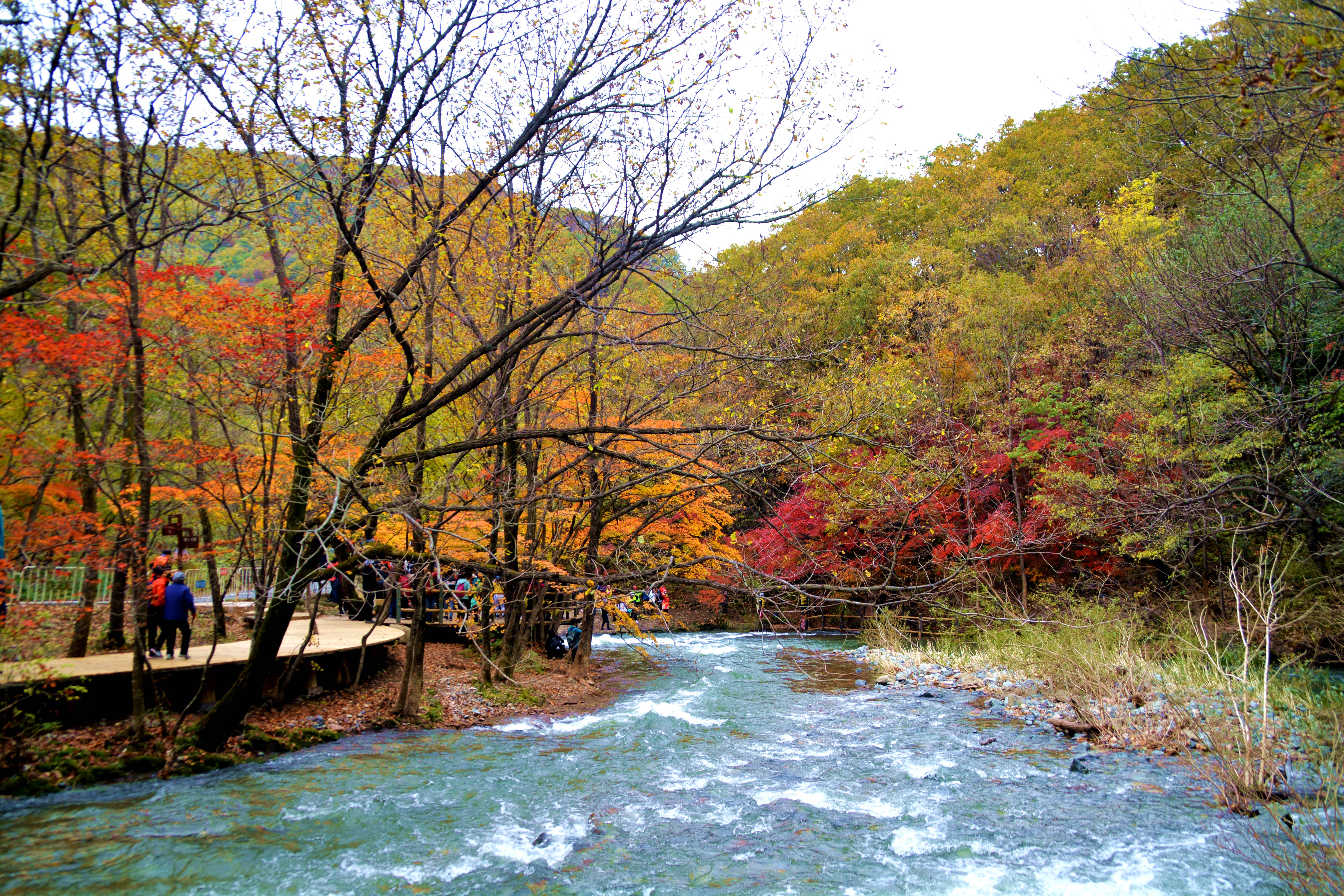 我們去的是關門山國家森林公園