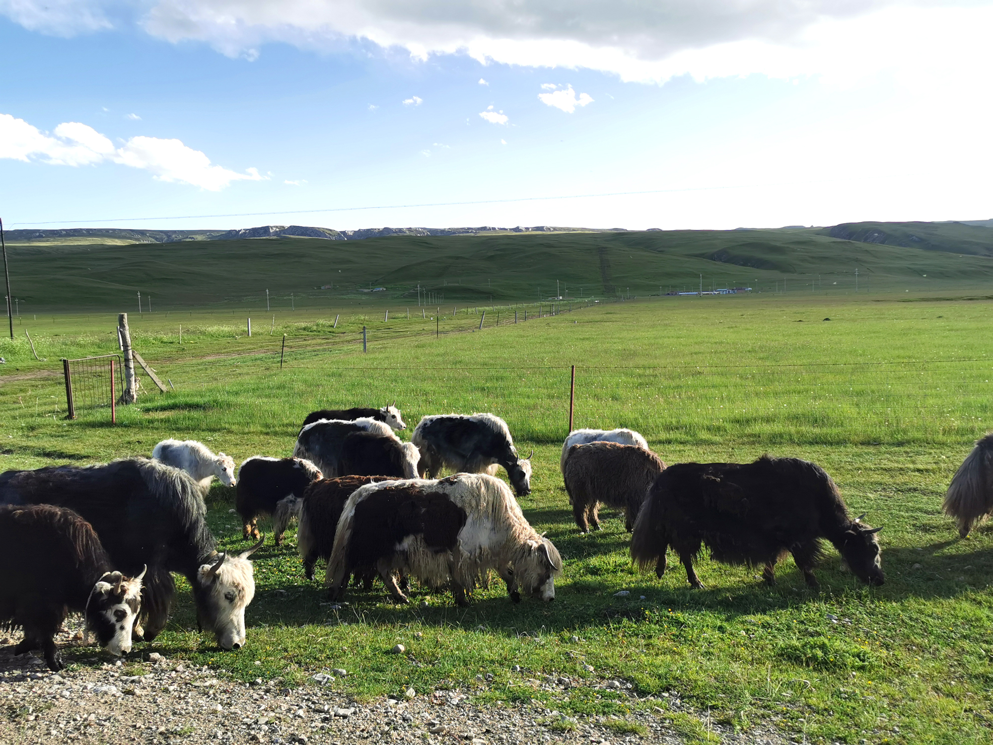 大美青海 人间仙境——9天自驾青海大环线 西宁张掖敦煌青海湖