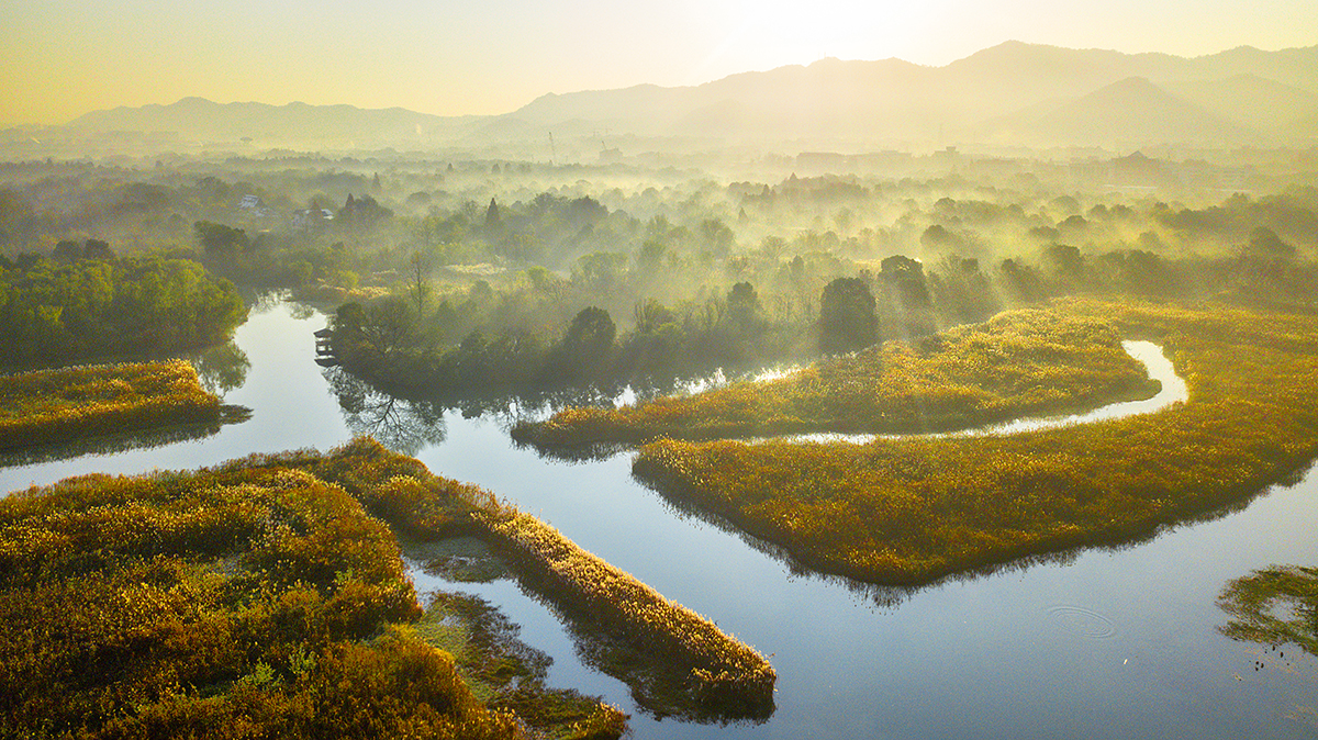 杭州西溪湿地航拍水泊中十里芳菲村落悠然的大隐于市之地