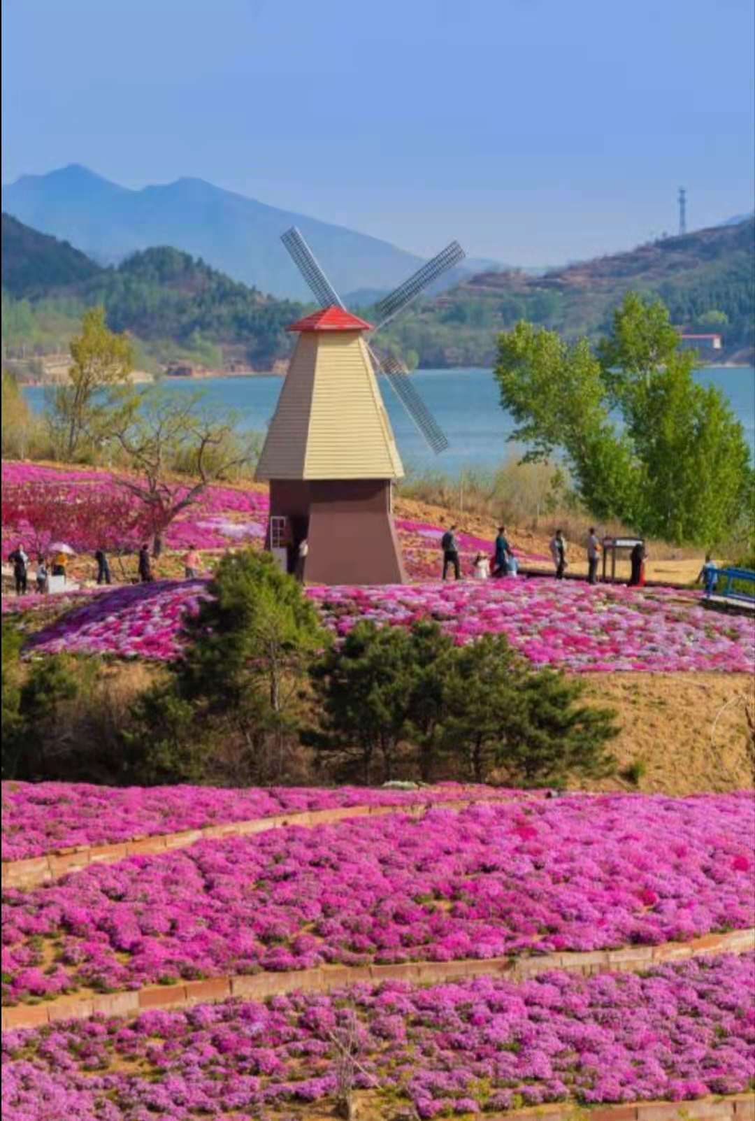 迁西雨花谷薰衣草庄园