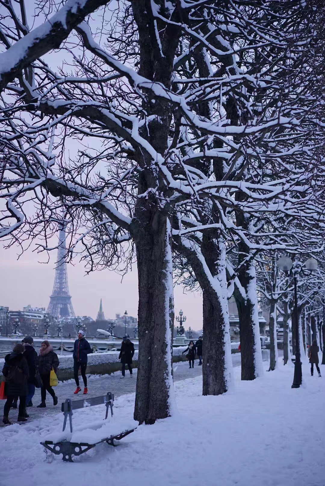 巴黎的雪景