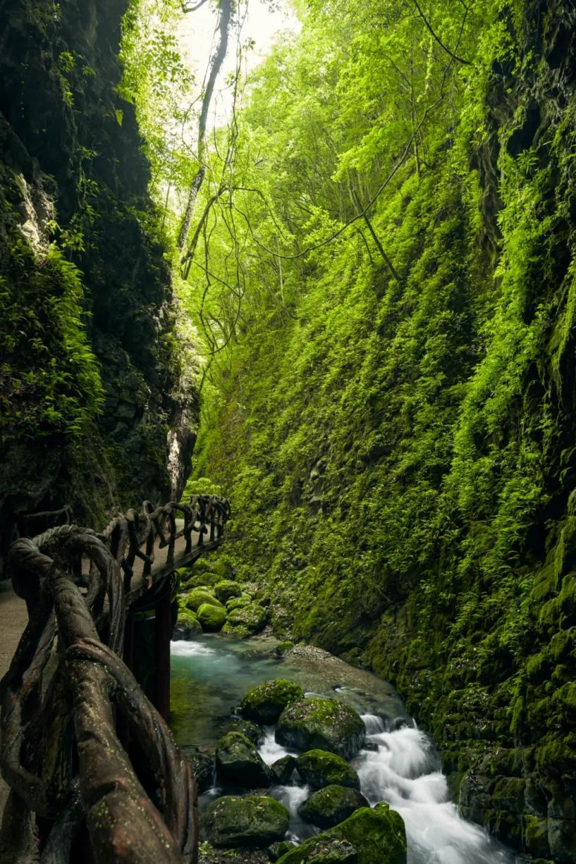 巴山大峡谷照片图片