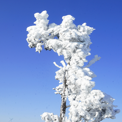 光雾山雪景图片图片