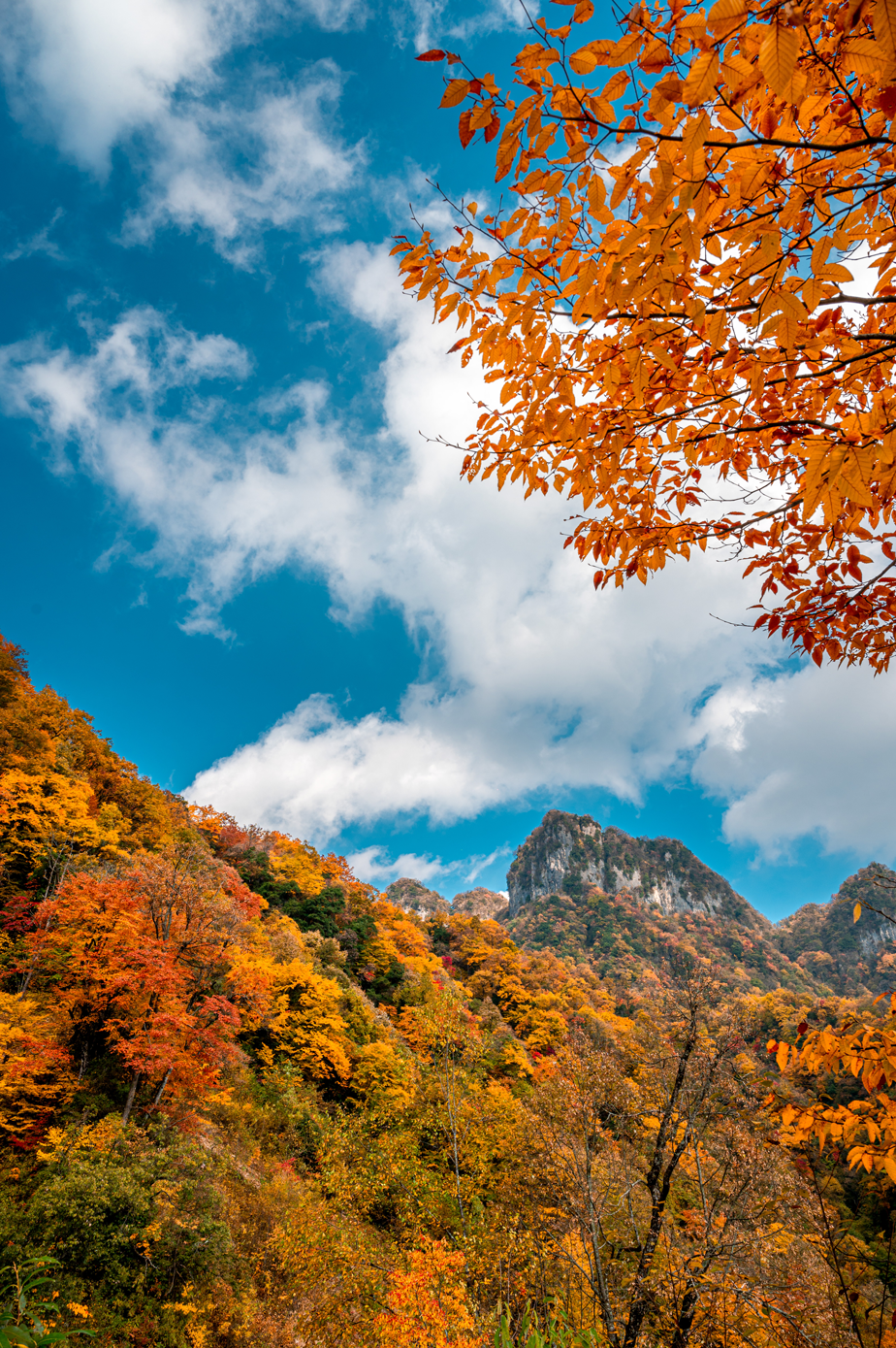 总要去一趟光雾山吧,尤其是在秋天_巴中游记_途牛