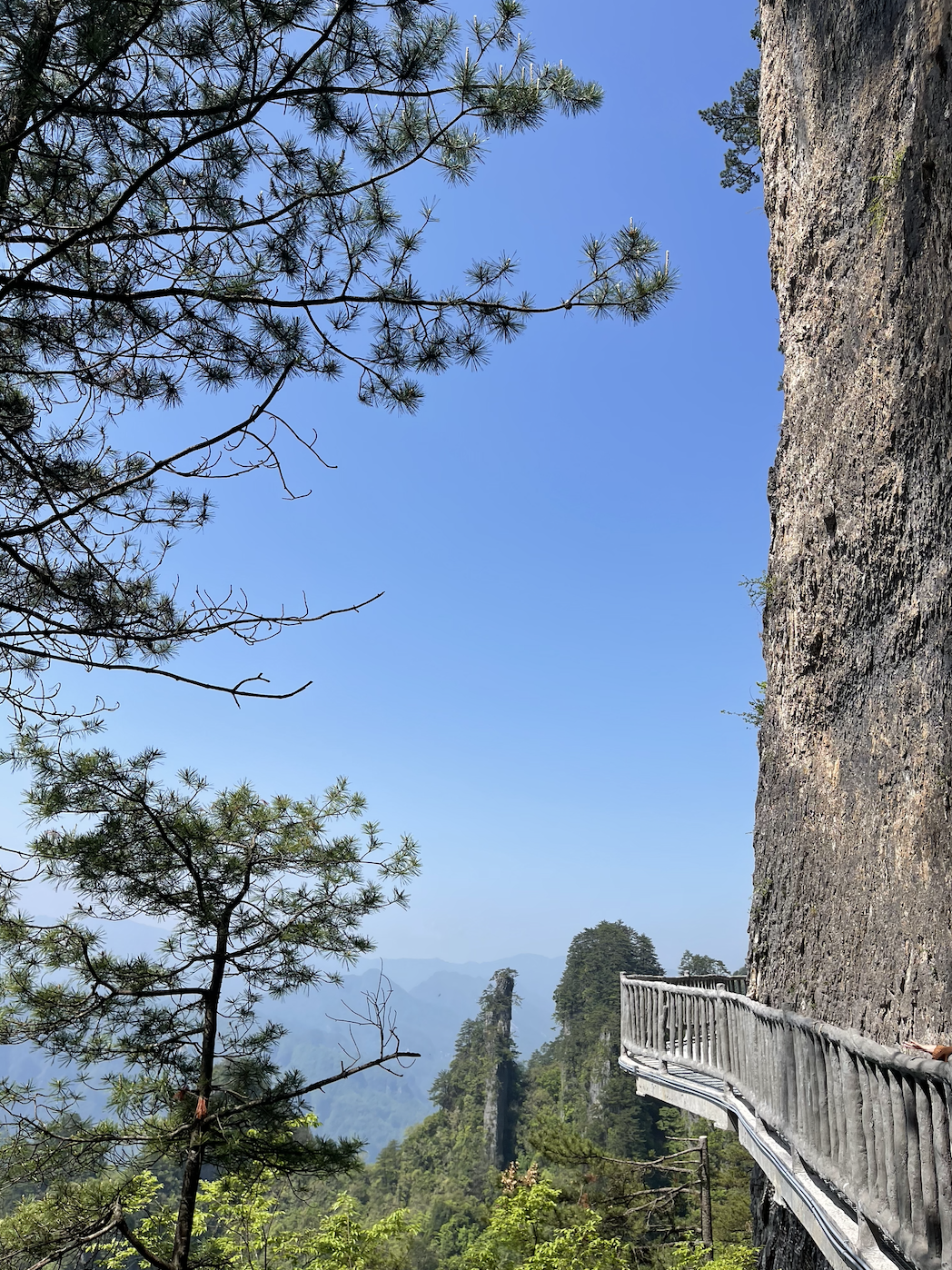 光雾山最值得去的景点图片