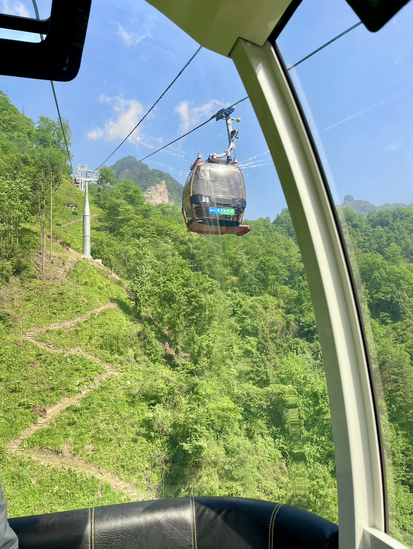 第二天清晨,在"米仓山客栈"享用过地道的早餐后,我们就前往了光雾山