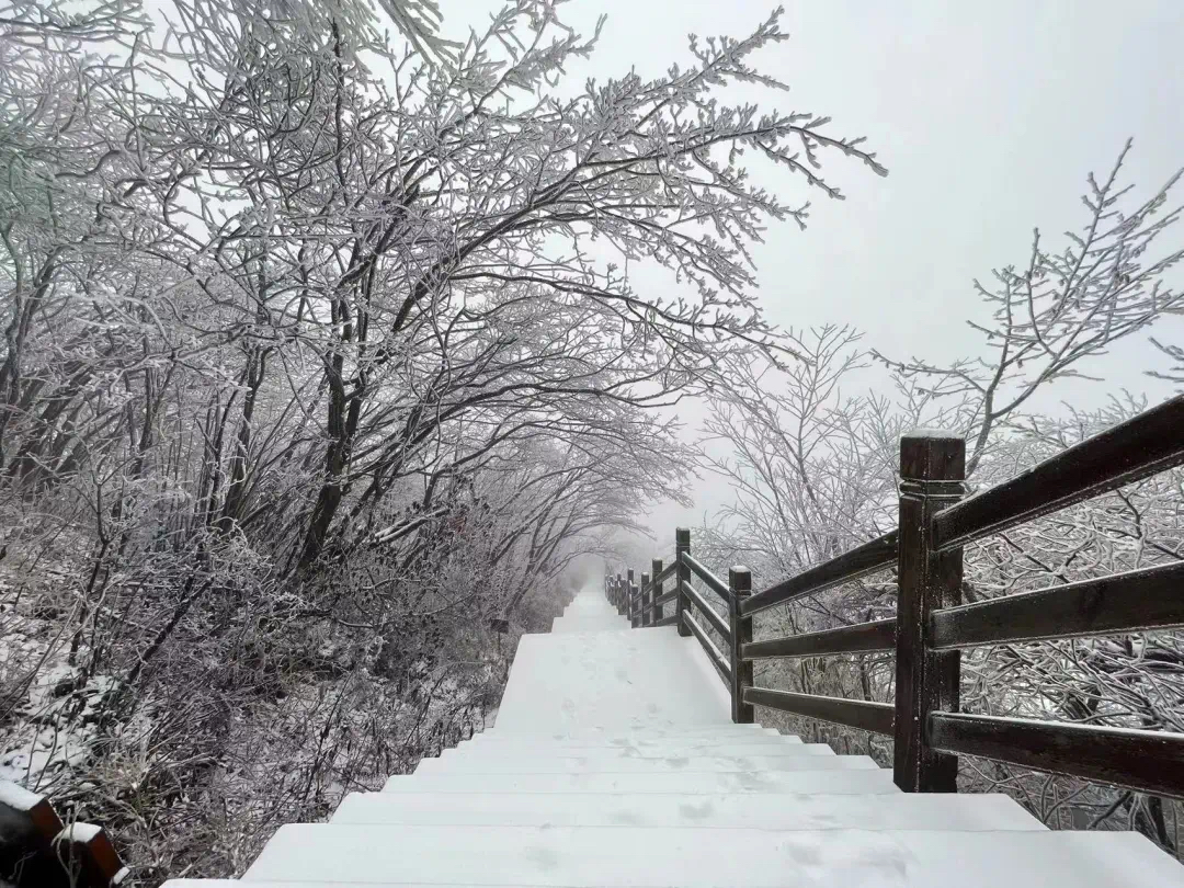 最后让我们一起来看米仓山的绝美雪景叭～值得注意的是,米仓山位于