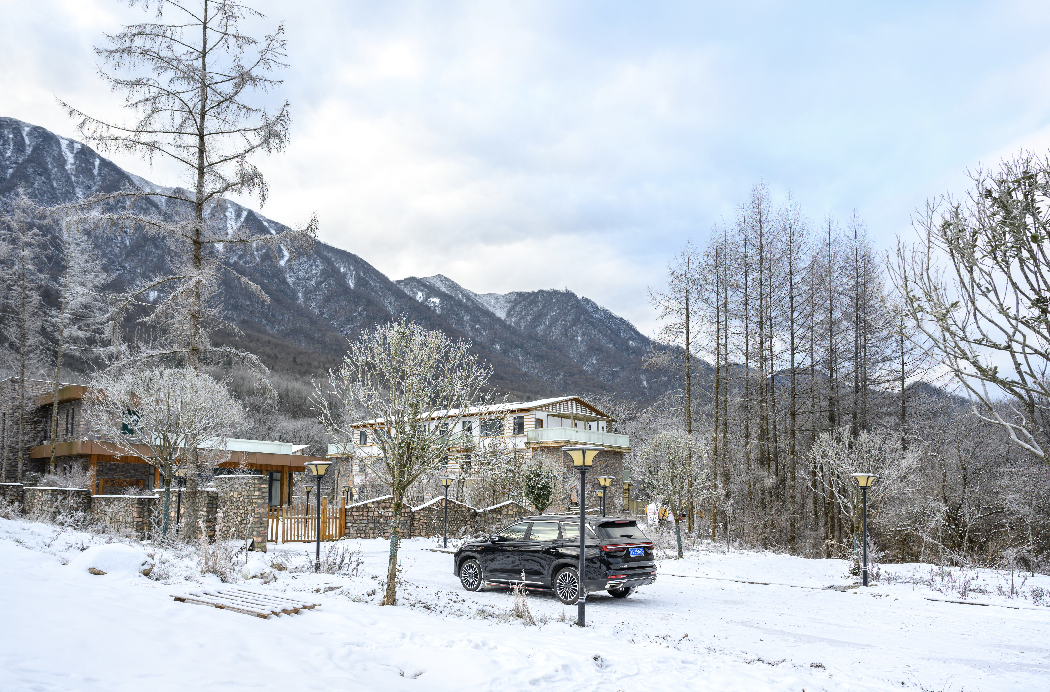 去年冬天,在下雪时去了趟光雾山,白雪皑皑的一片给了我留下了很深的