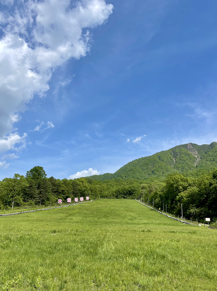 第一天【米仓山旅游景区】