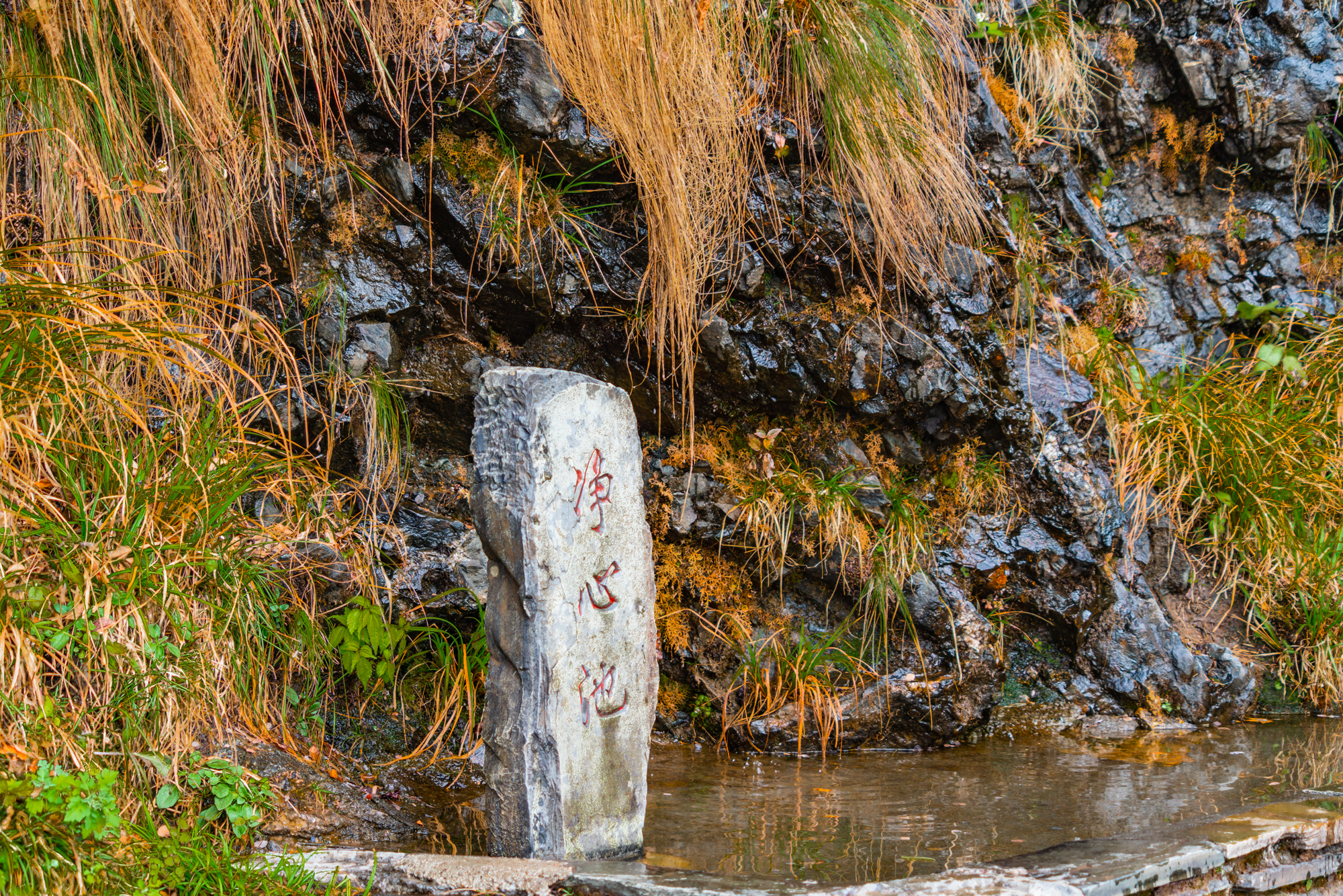 【首发】遇见天空之城梵净山,北半球最古老的生态乐园
