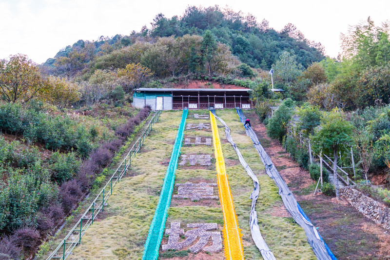 松阳七沐山滑草场图片