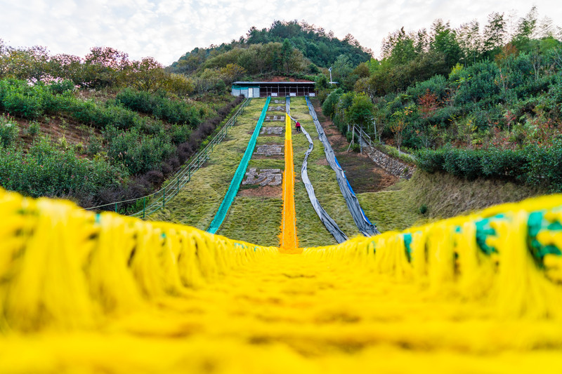 松阳七沐山滑草场图片