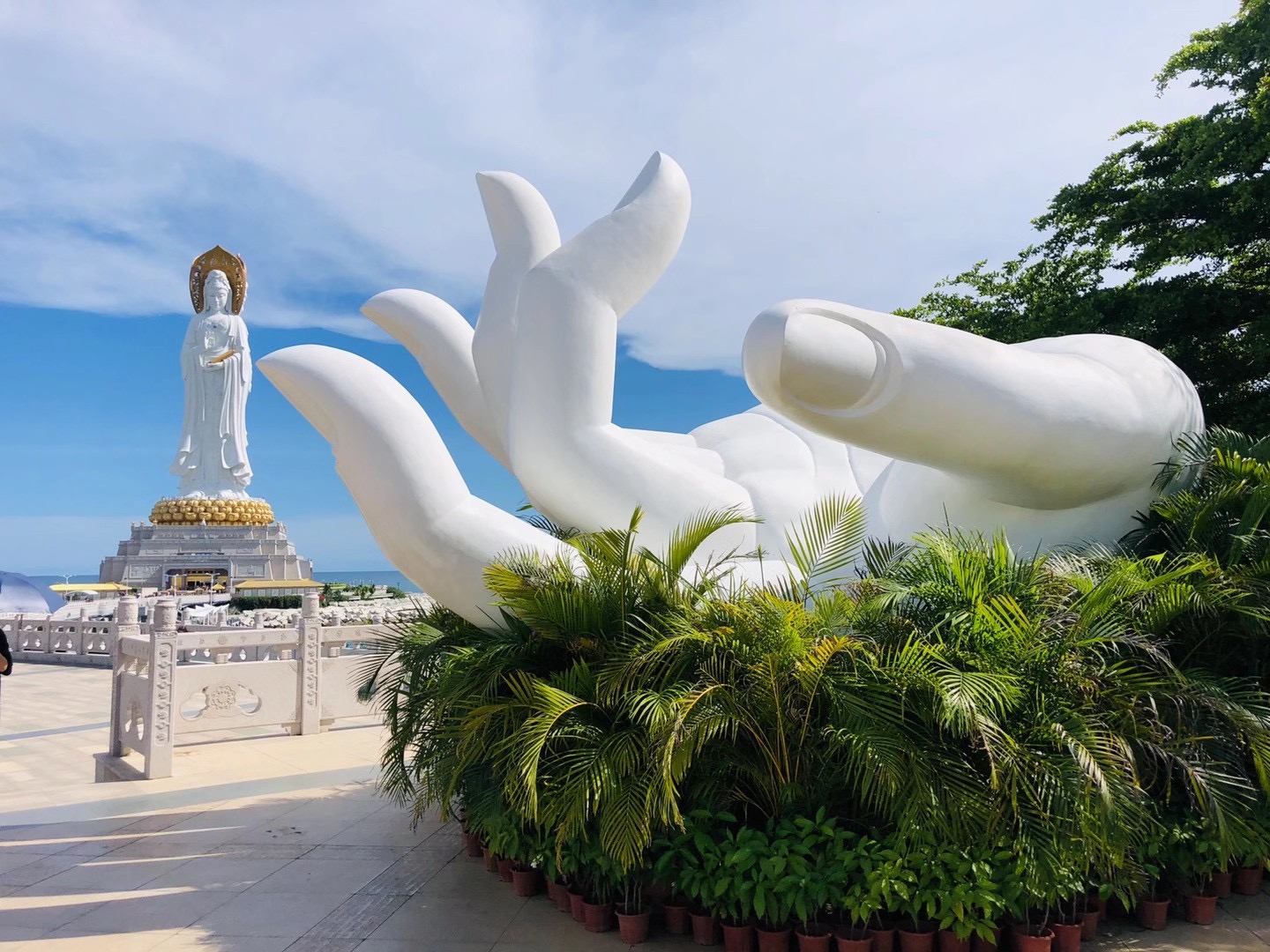 南山海上观音                      佛手