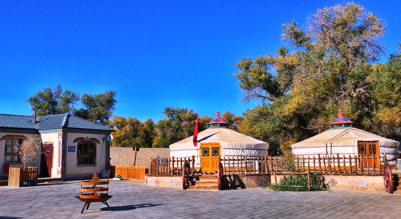 此生必去的旅游圣地额济纳旗醉美大漠胡杨林