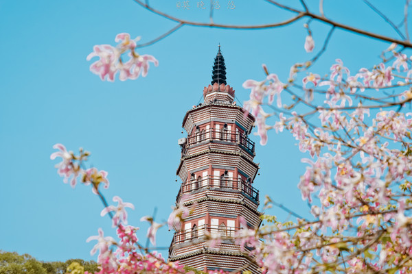 周末出游|2天1夜顺德美食美景享不停