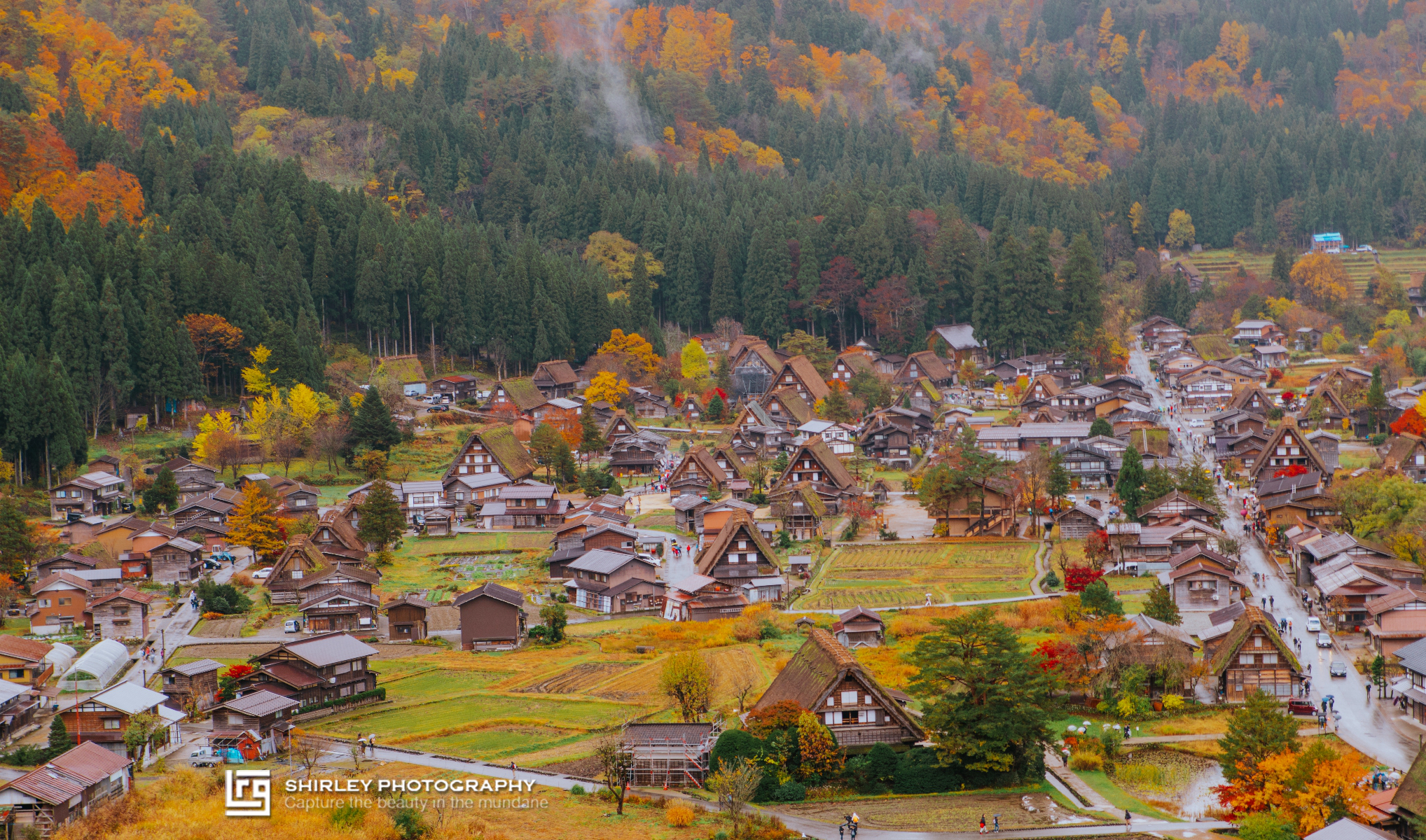 霜染枫林醉 红叶见倾时 一首无尽的秋日风物诗 日本 攻略游记 途牛