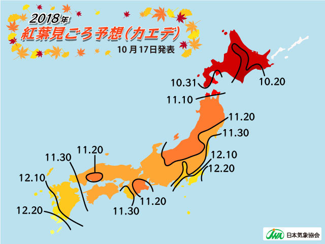 阿拉蕾 相约红叶季 畅游大阪京都 大阪 攻略游记 途牛