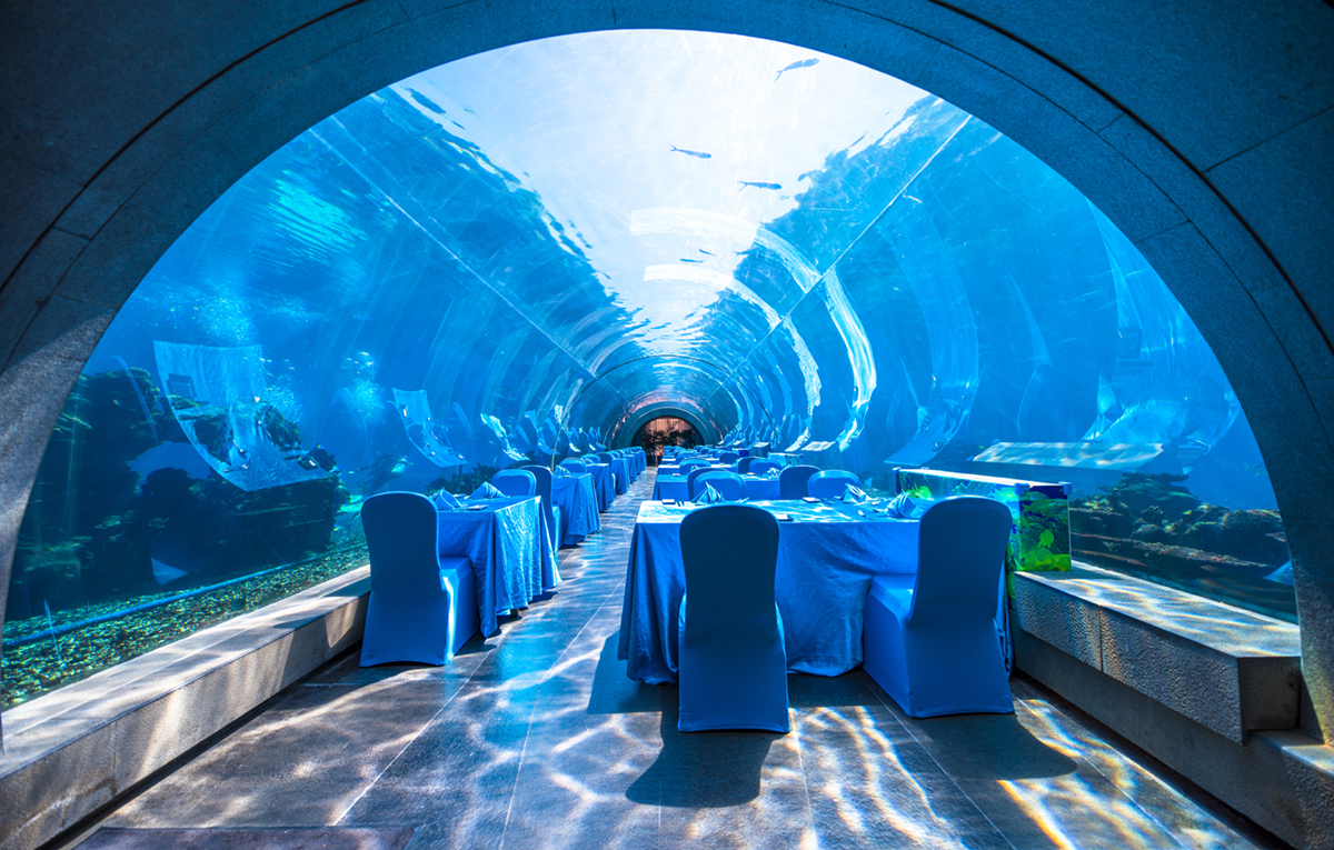 涛餐厅,目前是全 三亚 自助餐排行第二的餐厅;第一位并不是酒店自助