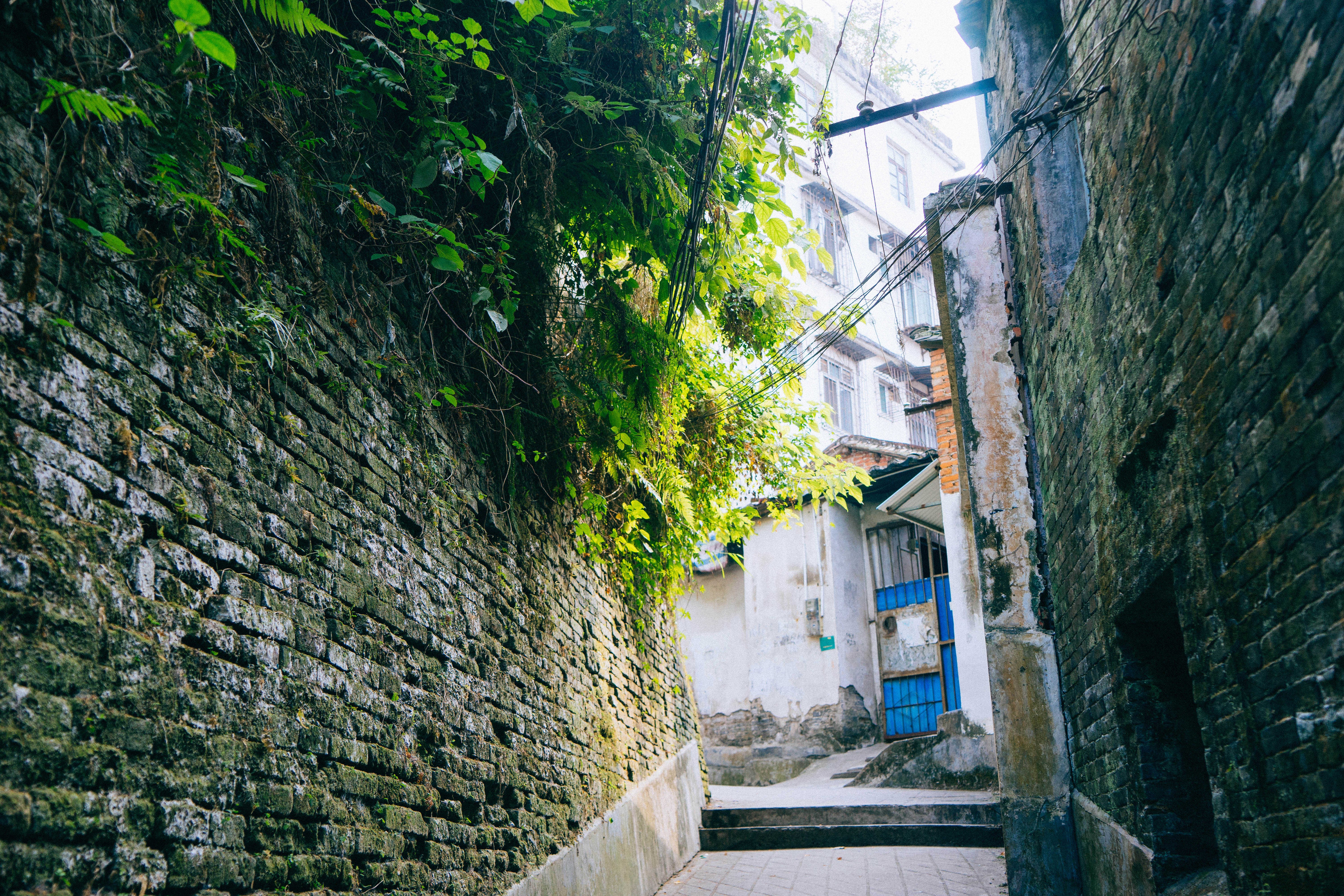 寻味梧州,遇见一座吃货的城市!