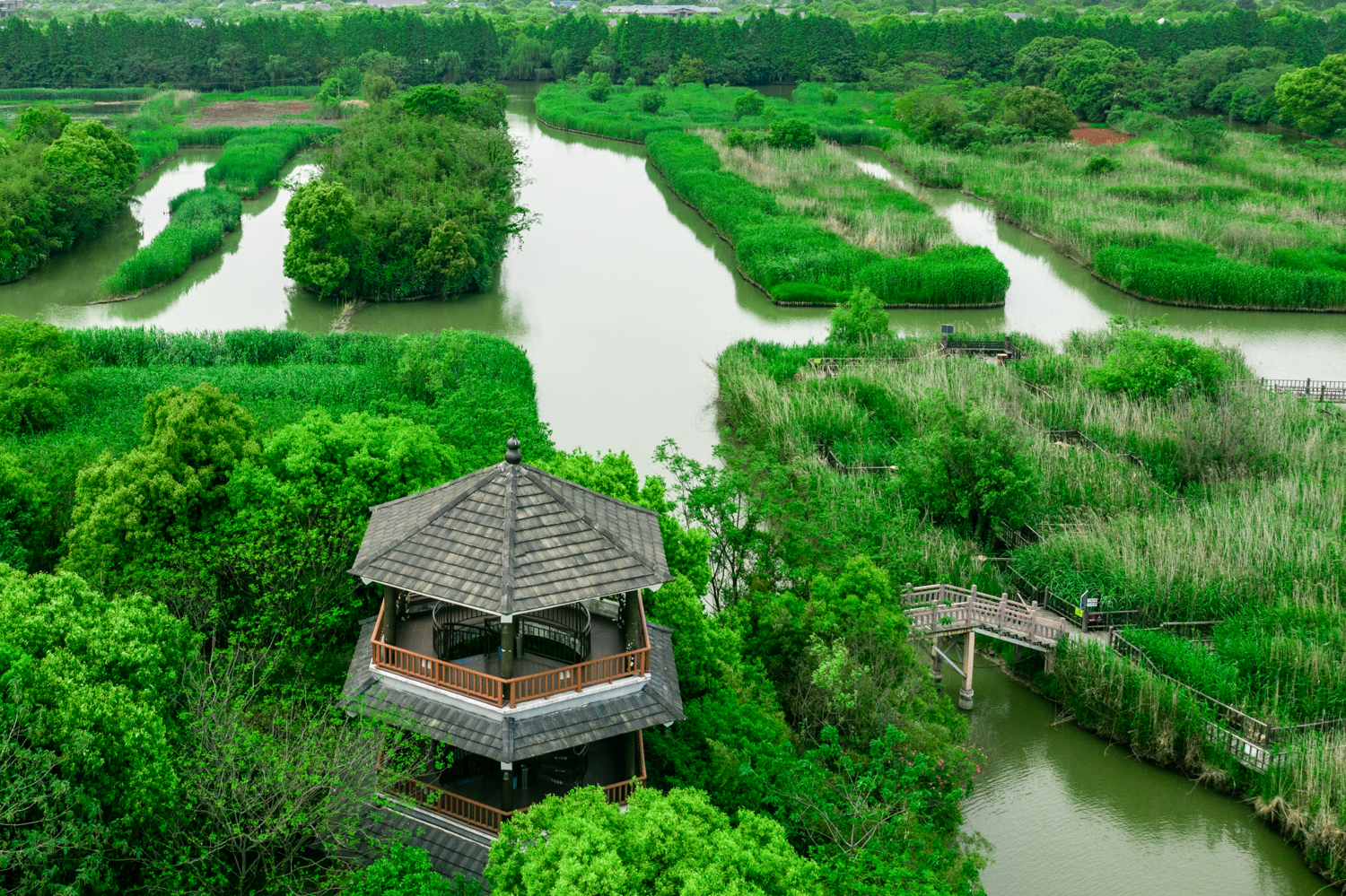 杭州周边游中国最美湿地下渚湖