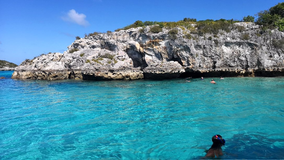 那些行走在路上的时光—猪年在巴哈马醉人的海浪里探访会游泳的猪