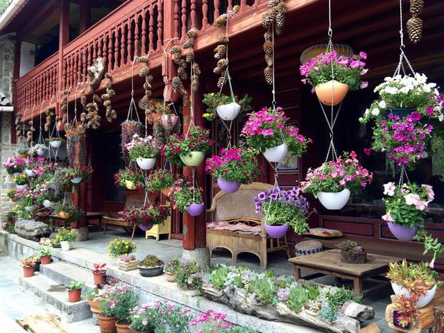 大理苍山寂照庵鲜花烂漫多肉文艺一切刚刚好的中国最美尼姑