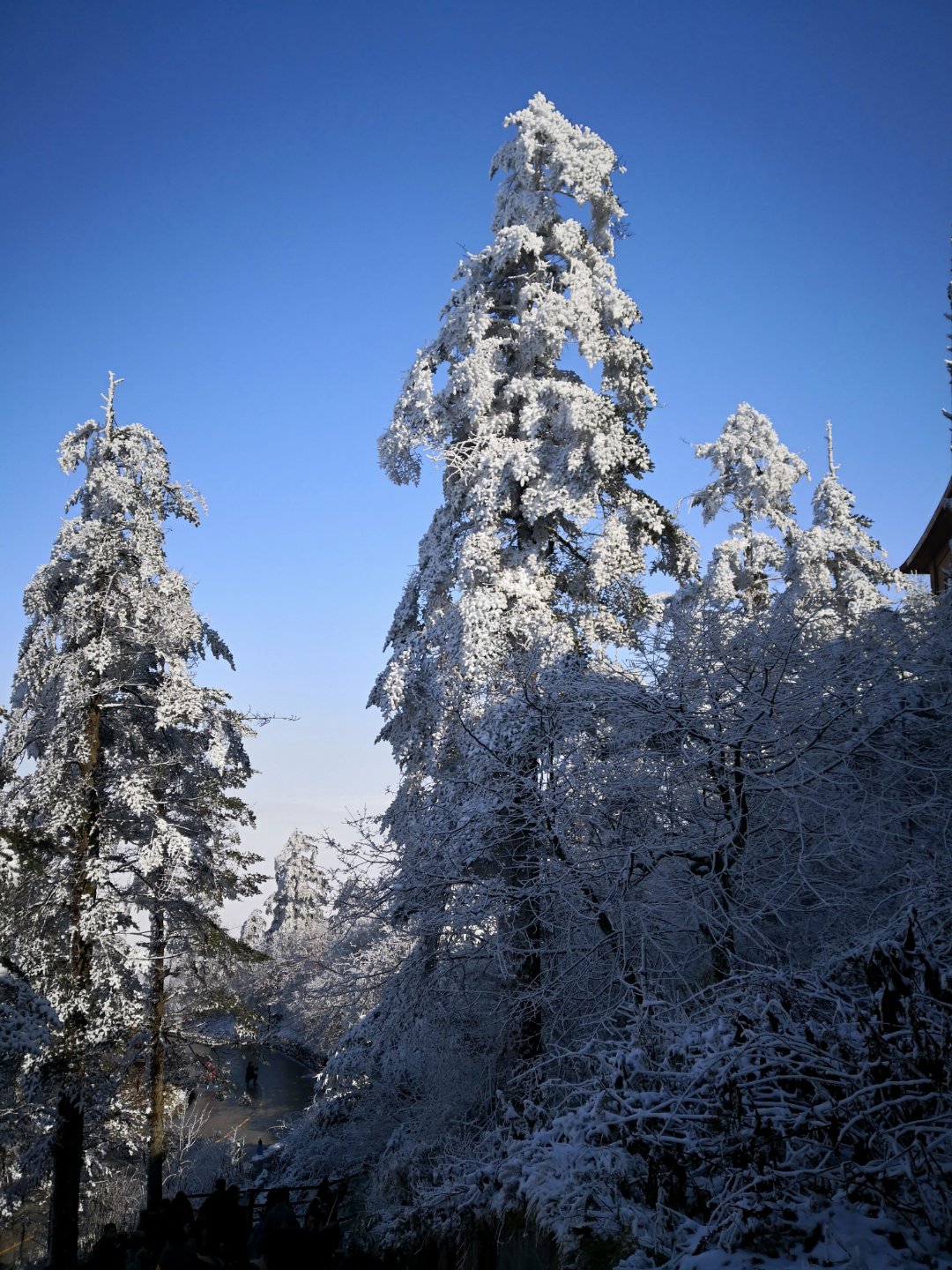 同是一座山,山下茫茫雪景,台阶上高低不匀的厚厚冰层,让你寸步难行.