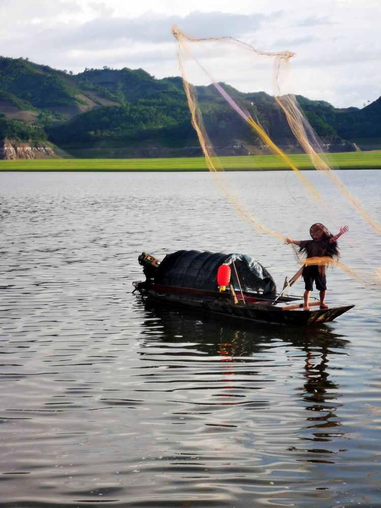 江心岛上盛开的油菜花和鸭绿江上的渔船江心岛上盛开的油菜花江心岛上