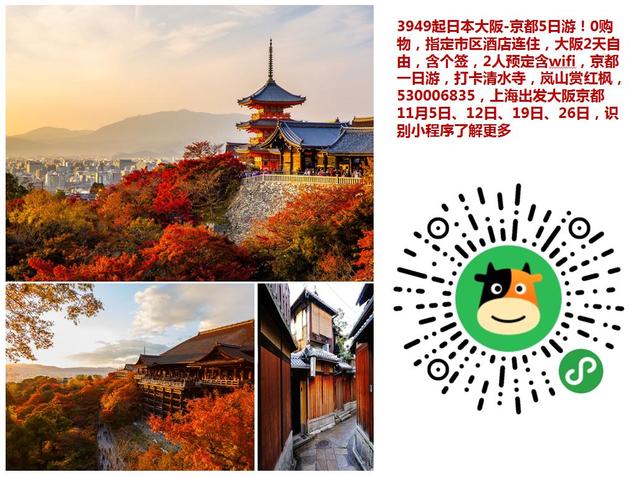 动态 途牛