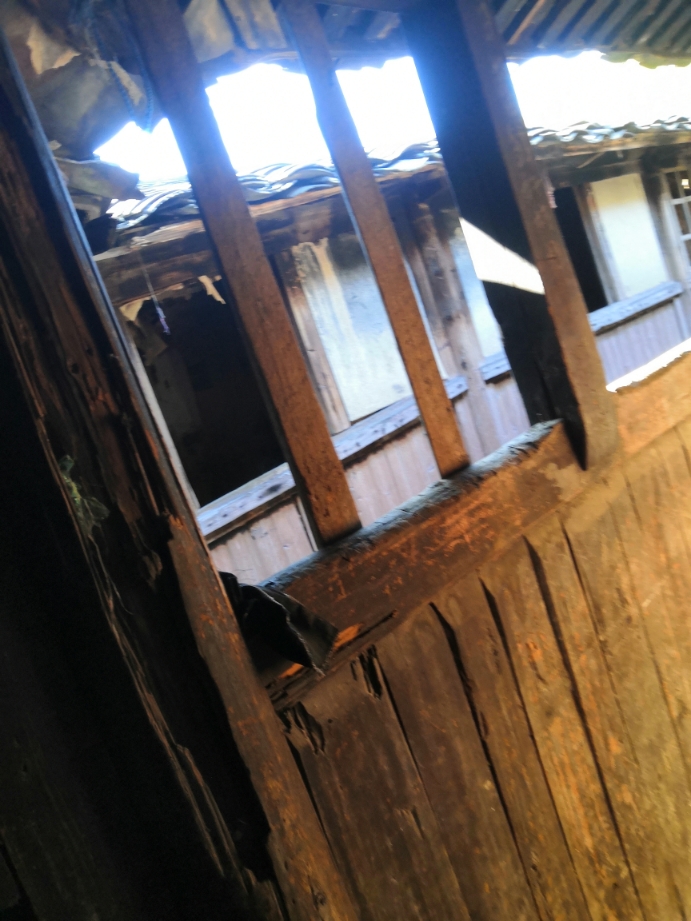 游览古田县黄田镇汶洋村土楼