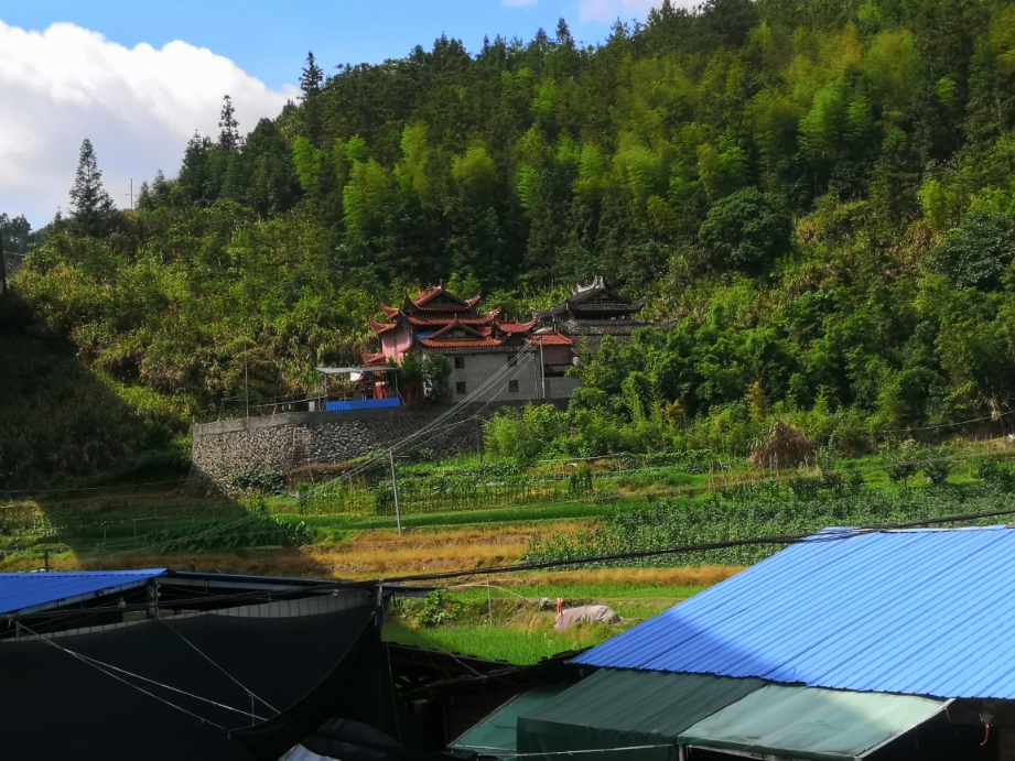 古田縣城西街道三坡頭局下孫大聖殿,座落在高速橋下山嶺果園間,風景